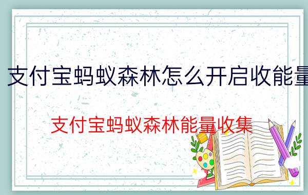 支付宝蚂蚁森林怎么开启收能量 支付宝蚂蚁森林能量收集